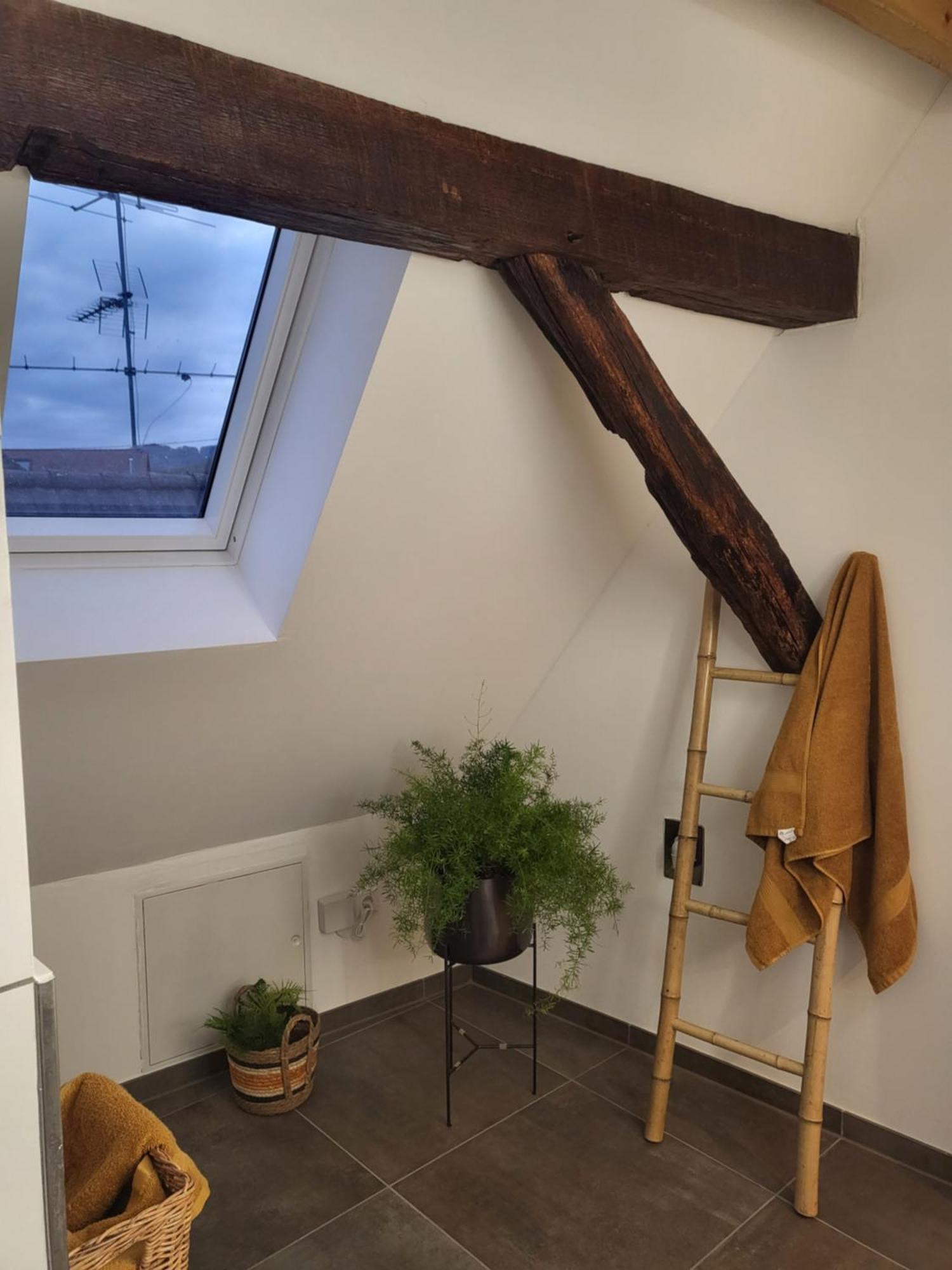 Ferienwohnung Im Rebstock Nr.1 Bahlingen  Bagian luar foto